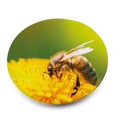 Button III. Knappepins